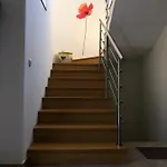 Dora פג